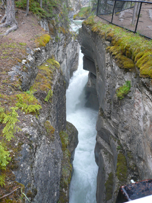 Maligne Canyon
