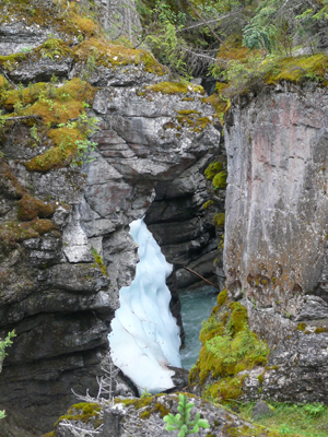 Maligne Canyon
