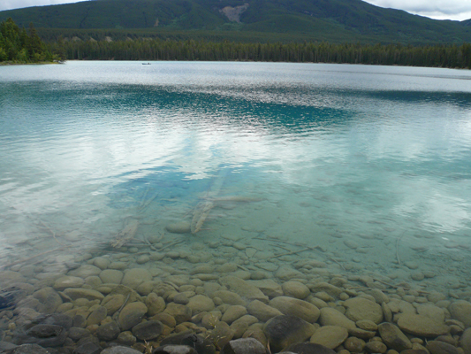 Jasper NP - Lake Annette

