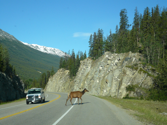 Jasper NP
