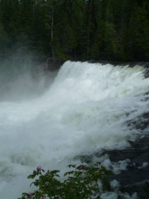 Wells Gray 
