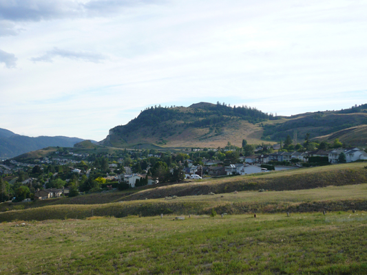 Vernon
