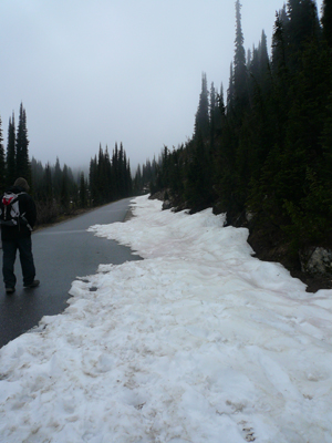 Revelstoke NP
