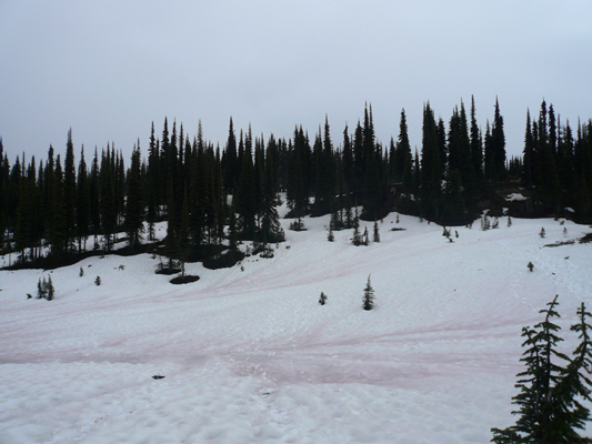 Revelstoke NP
