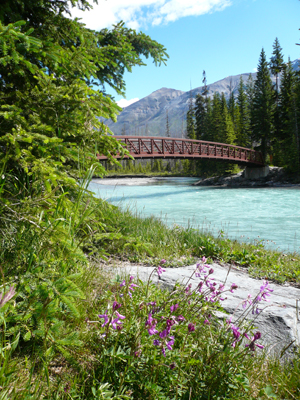 Kootenay NP
