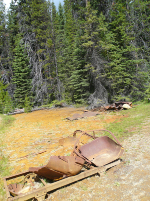 Kootenay NP
