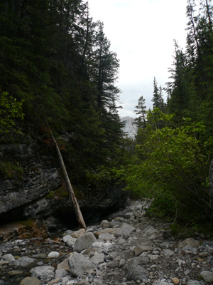 Grotto Canyon Trail
