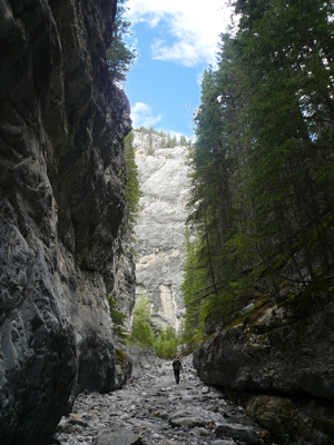 Grotto Canyon Trail
