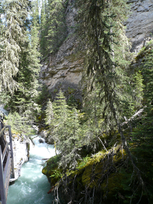 Banff NP - Johnston Canyon
