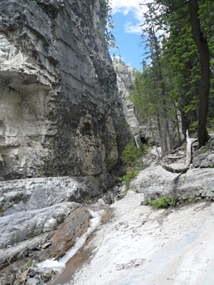 Grotto Canyon Trail

