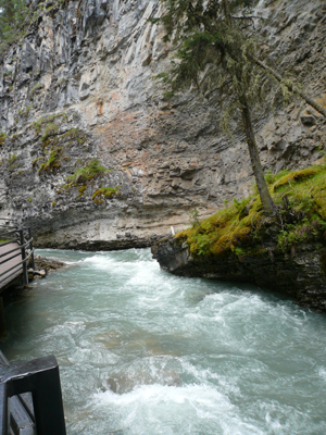 Banff NP - Johnston Canyon
