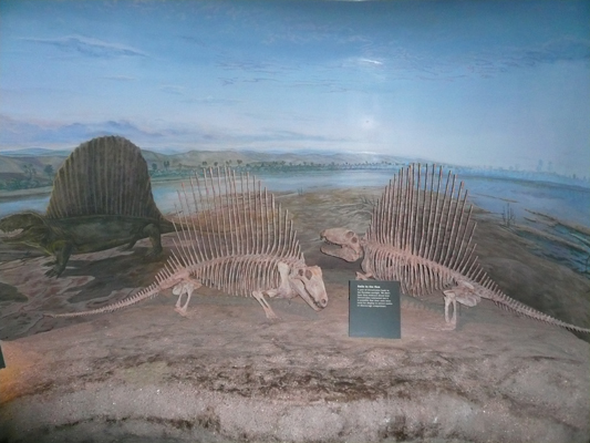 Drumheller Dino Museum

