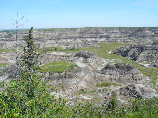 Drumheller - Horseshoe Canyon
