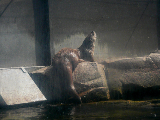 Calgary Zoo
