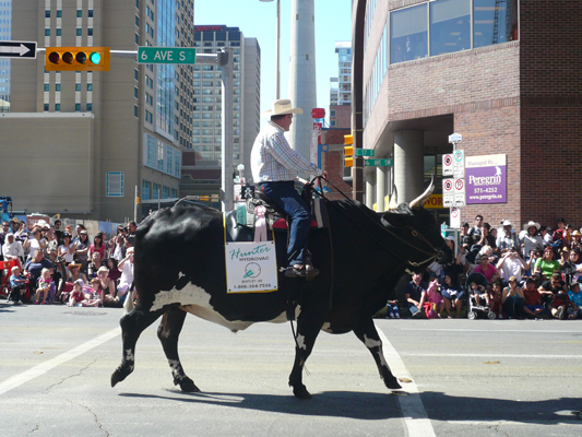 Calgary Stampede Parade
