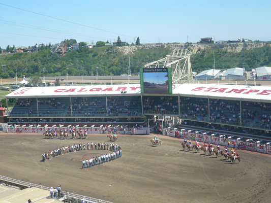 Calgary Stampede Rodeo
