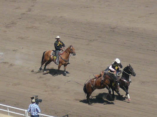 Calgary Stampede Rodeo
