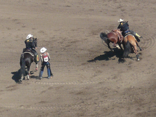 Calgary Stampede Rodeo
