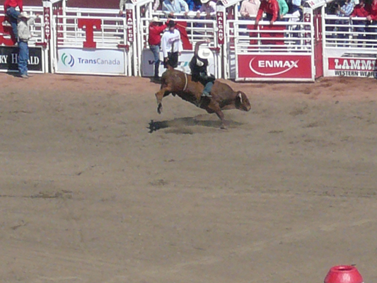 Calgary Stampede Rodeo
