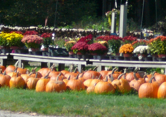 New_York_2008_337.jpg