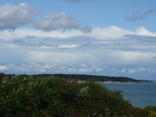 New_York_2008_345.jpg