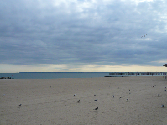 New_York_2008_508.jpg
