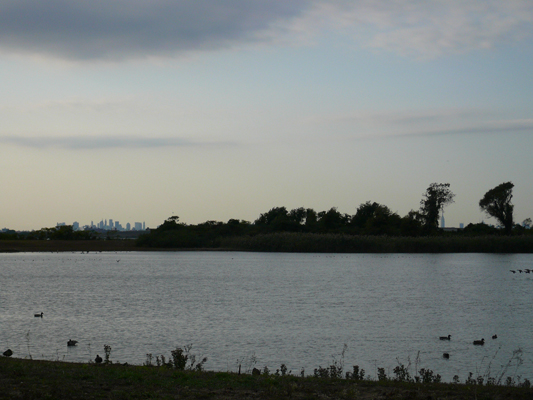 New_York_2008_516.jpg