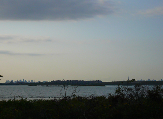 New_York_2008_519.jpg