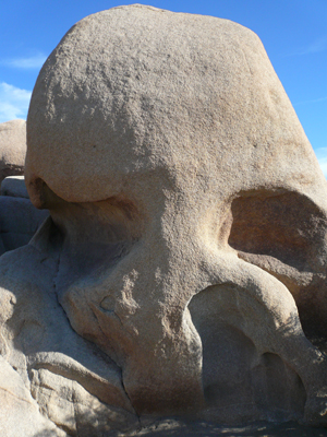 Joshua Tree NP
