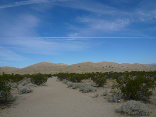 Mojave Desert
