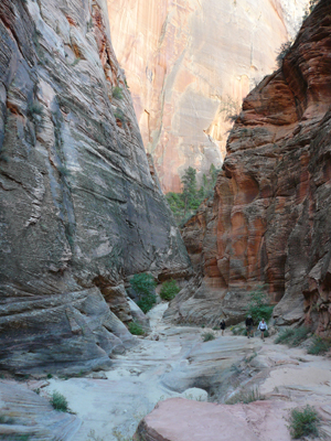 Zion NP 
