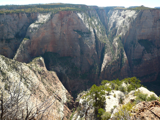 Zion NP - Observation Point
