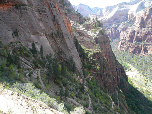 Zion NP - Observation Point
