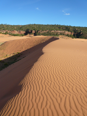 Coral Pink Sanddunes
