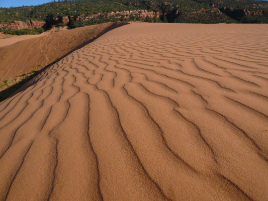 Coral Pink Sanddunes
