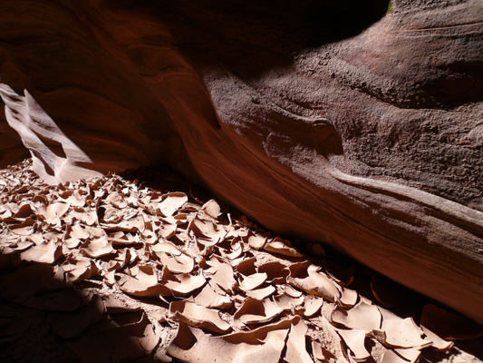 Buckskin Gulch
