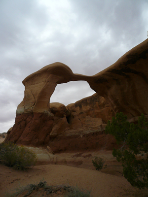 Devils Garden
