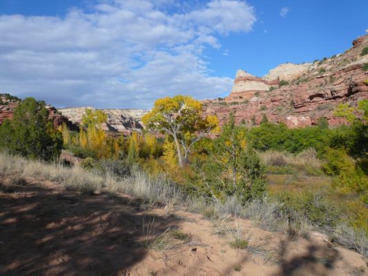 Lower Calf Creek Falls
