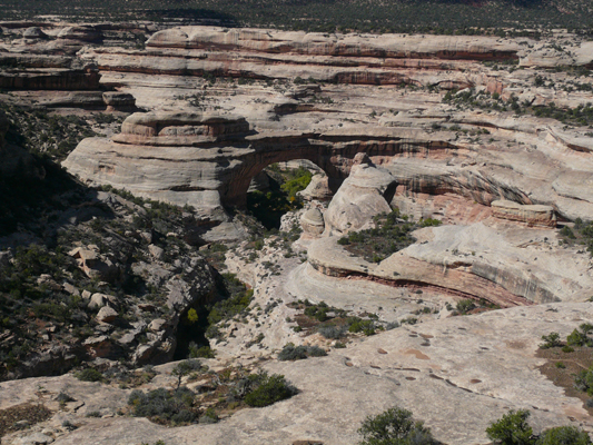 Natural Bridges
