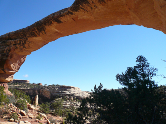 Natural Bridges
