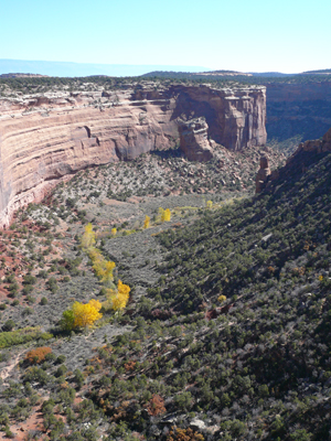 Colorado NM

