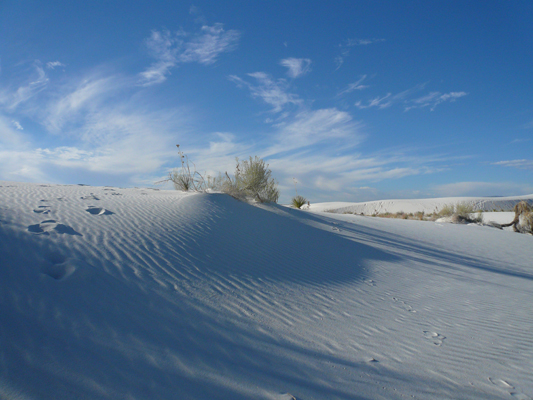 White Sands
