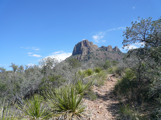Big Bend
