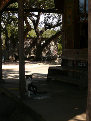 Luckenbach
