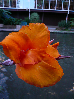 San Antonio
