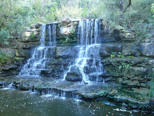 Austin - Botanical Garden
