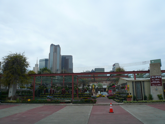 Dallas
