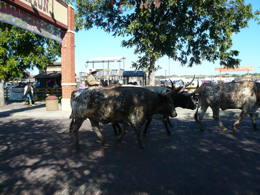 Fort Worth
