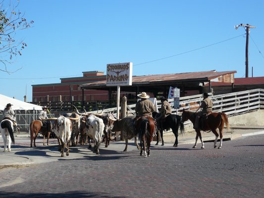 Fort Worth
