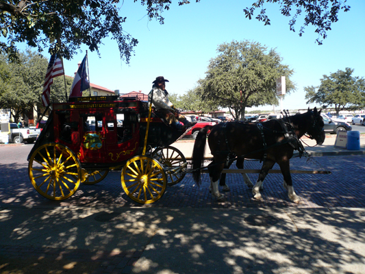 Fort Worth
